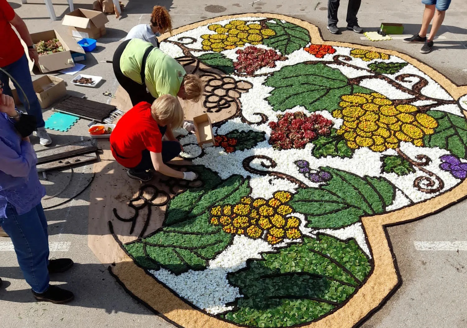 Catifaires de tot el m&oacute;n es reuniran aquest abril al Baix Pened&egrave;s