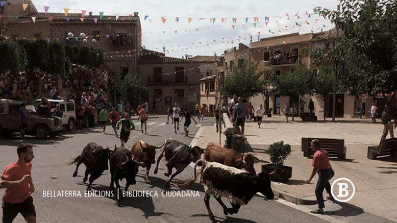 Les festes de bous i la identitat ebrenca