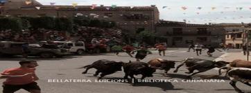 Les festes de bous i la identitat ebrenca