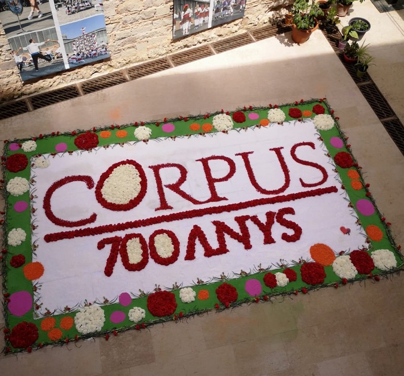 Les catifes florals i el bestiari, protagonistes de tres exposicions al Born CCM