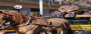 La festa dels Tres Tombs torna a omplir els carrers