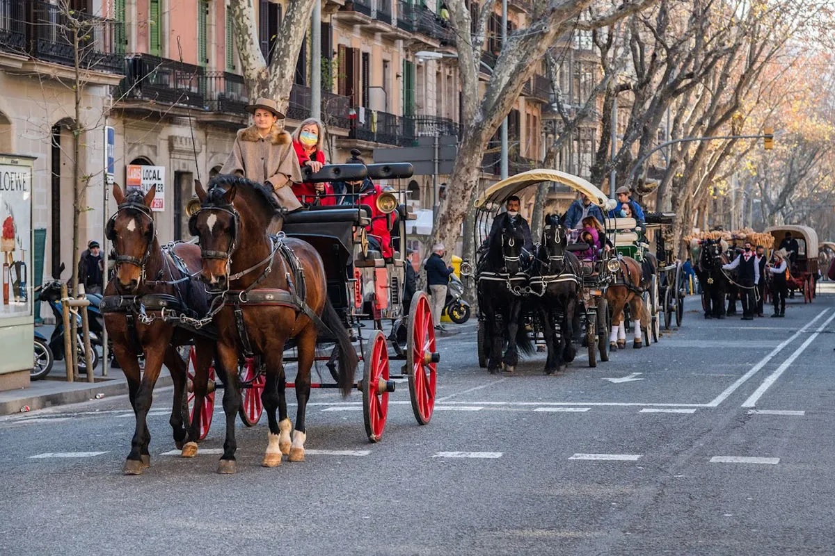 Els Tres Tombs de Barcelona desfilen dissabte a favor de la pau