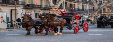 Els Tres Tombs de Barcelona desfilen dissabte a favor de la pau