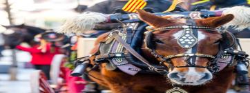 Els Tres Tombs ja tenen una guia per a garantir el benestar animal