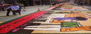L’art de les catifes de flors, protagonista a l’Ateneu per Corpus