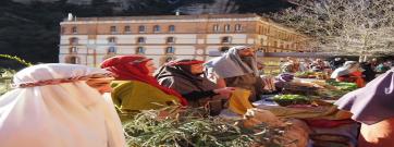 Més de 100.000 visitants als Pessebres Vivents de la temporada