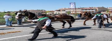Polinyà serà la primera capital dels Tres Tombs de Catalunya