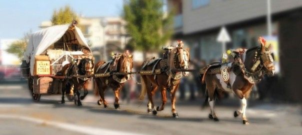 El pregó que donarà inici a la temporada dels Tres Tombs 2019 serà el 10 de gener