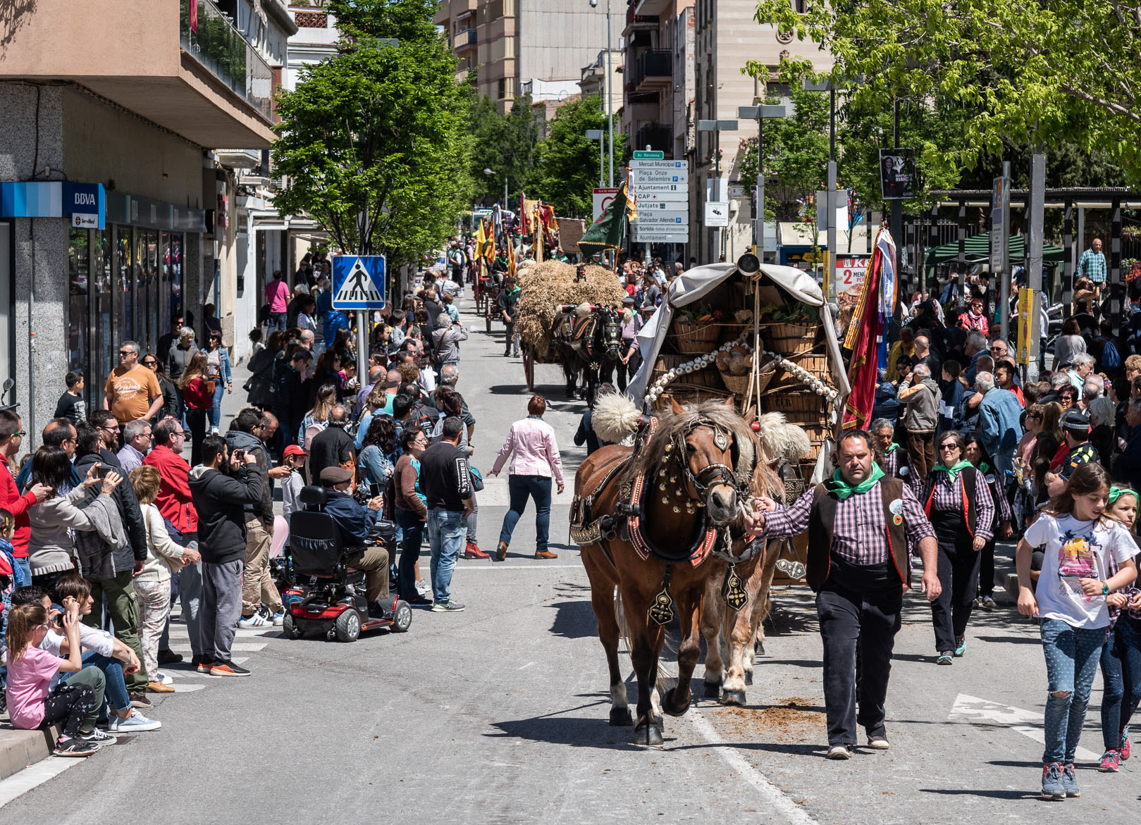 Rubí acull la Trobada Nacional dels Tres Tombs més multitudinària