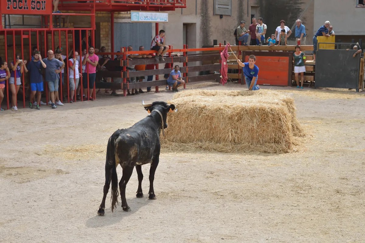 Que no ens toquin els bous!