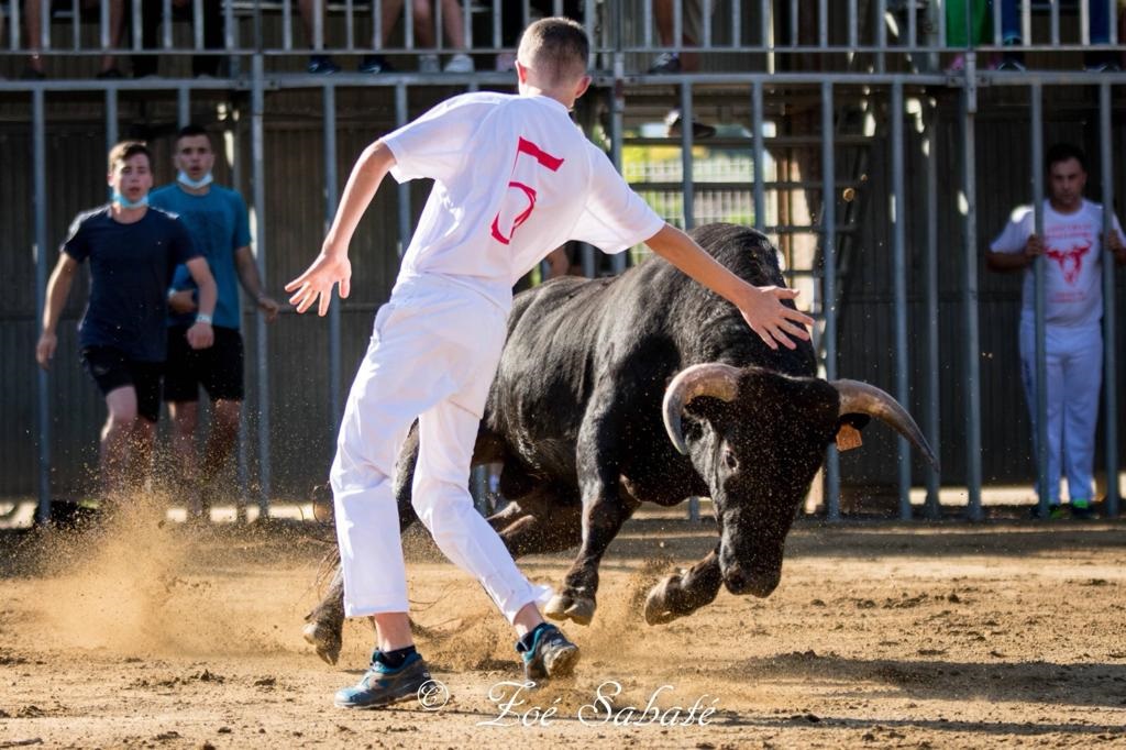 Aquest cap de setmana comencen les festes de Santa Bàrbara, repleta d’actes taurins