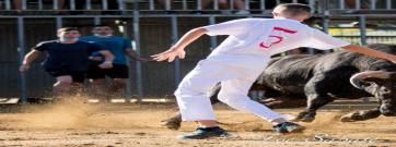Aquest cap de setmana comencen les festes de Santa Bàrbara, repleta d’actes taurins