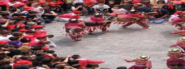 Berga acull una jornada professional sobre colles infantils de bestiari festiu