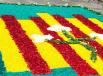 25 i 26 d’octubre, 16a Trobada de Catifaires de Catalunya a Lleida