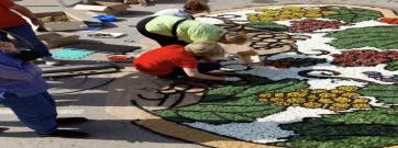 Les catifes de flors viatjaran a diferents països de la UE
