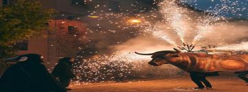 Les millors bèsties cremaran al Festival Enceses del Bestiari de Catalunya