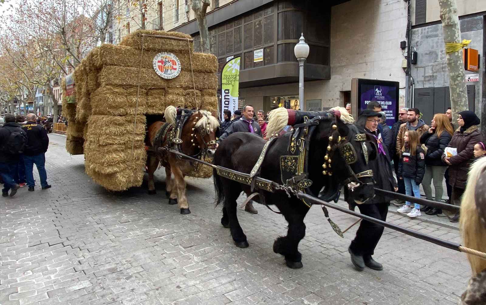 L'Antic Gremi de Traginers d’Igualada celebra enguany el bicentenari