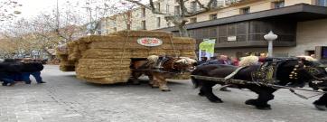 El 8 de maig Igualada celebra la XXV Trobada Nacional dels Tres Tombs