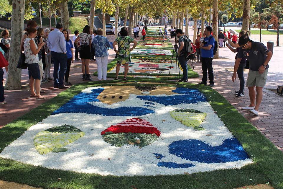 XIII Trobada de Catifaires de Catalunya